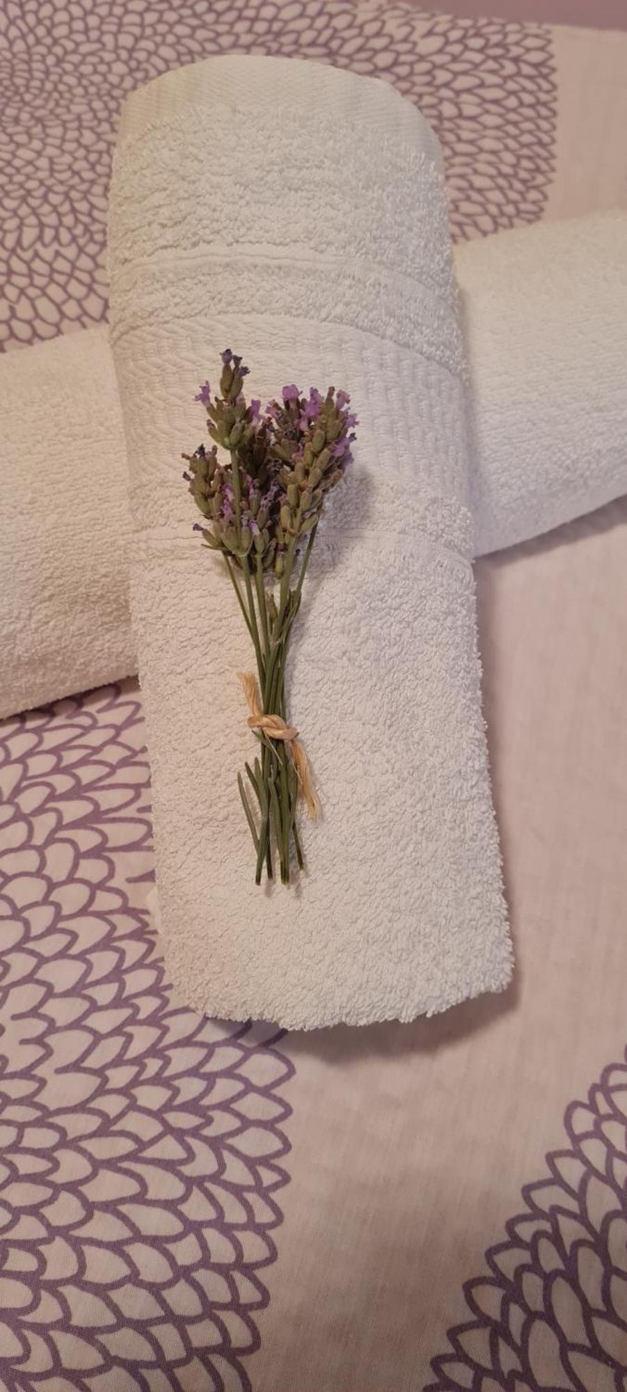Apartment Lavanda Starigrad Paklenica Eksteriør bilde